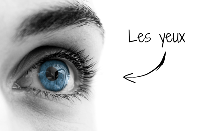 yeux