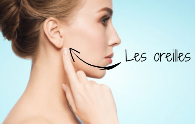 oreilles